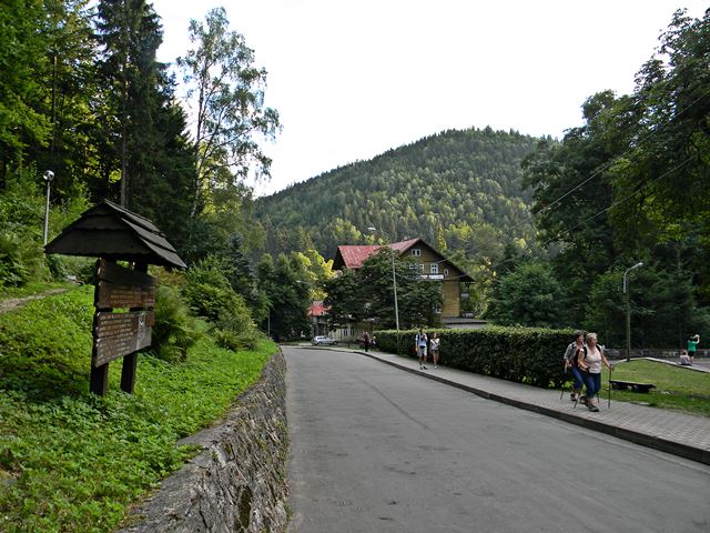 góry, Międzygórze, droga, turyści