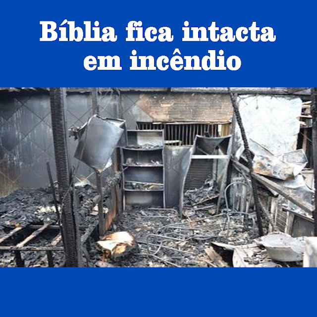 IPOJUCA ONLINE - Bíblia fica intacta em incêndio