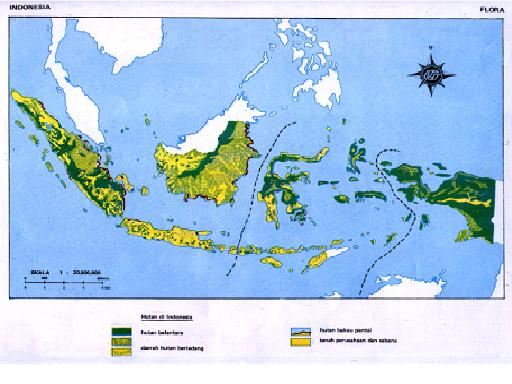 Tugas Geografi Flora dan Fauna  Di Indonesia