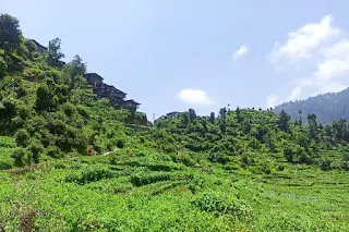 बरोट घाटी के दर्शनीय स्थल | Barot Valley Tourist Places in Hindi