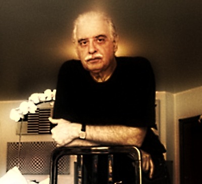 Augusto de Campo ebooklivro.blogspot.com 