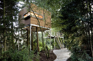 Tree House