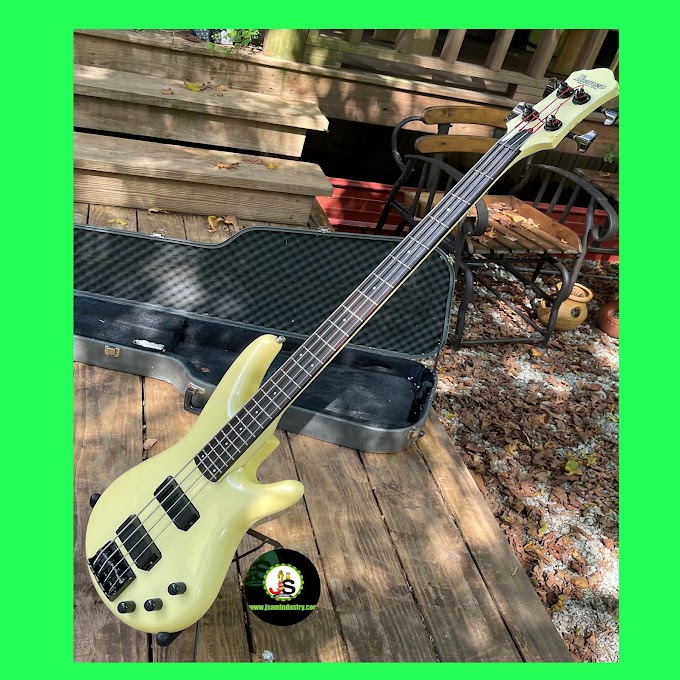 IBANEZ BASS RB850 AND CASE