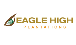 Laporan Keuangan Eagle High Plantations (BWPT) 2021 Rugi Bertambah Jadi Rp1,4 Triliun