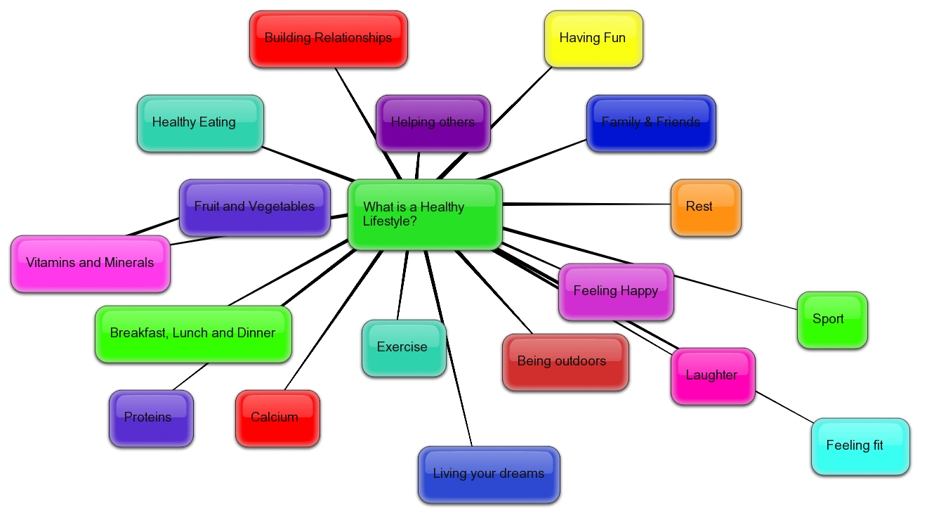 Healthy Lifestyle, A Healthy Me: Week 1: Concept Map and Reflection