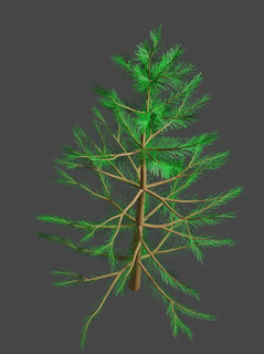 Pine small tree Plant free fbx download