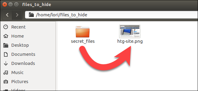 hide file