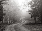 Vägen