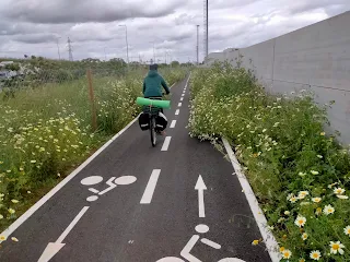 Aim'jie rides on a bike lane, biking marks on the asphalt, partly overgrown with flowers.