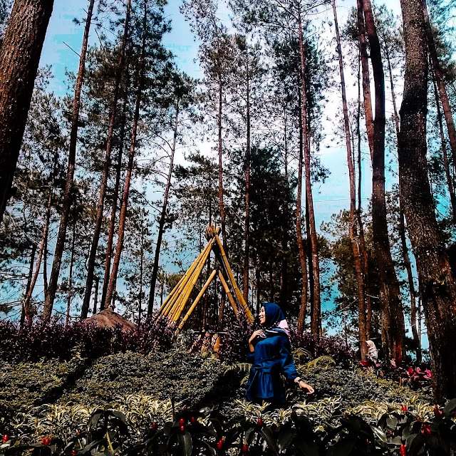 Menikmati keindahan, taman mloko sewu, Sumber foto (https://www.instagram.com/mlokosewu/)