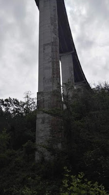 Il ponte - lungo 1.182 metri e alto 45 metri - era stato costruito con una struttura mista: cemento armato precompresso per l’impalcato e cemento armato ordinario per le torri e le pile. L’inaugurazione era avvenuta il 4 settembre 1967 alla presenza del Presidente della Repubblica Giuseppe Saragat, facendo discutere fin da subito gli ingegneri,   che ne avevano presto individuato le nefaste criticità.  "Una somma di errori progettuali"  “Il crollo di un ponte - sottolineava Brencich – è la somma una lunga serie di errori, progettuali, di manutenzione e di chi eventualmente ha autorizzato il transito di mezzi pesanti