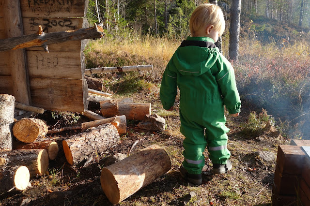 vindskydd grill eld sol grilla kol ved skog grön skaloverall 