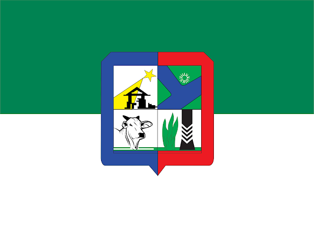 Bandeira do Município de Almeirim - Pará - Brasil