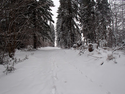 Spacer w Szczawnicy - Cyrhle 774) - Łaźne Skały (773) - Zalazie (733) - Witkula (736) - Szafranówka (742) - Przełęcz pod Szafranwką 