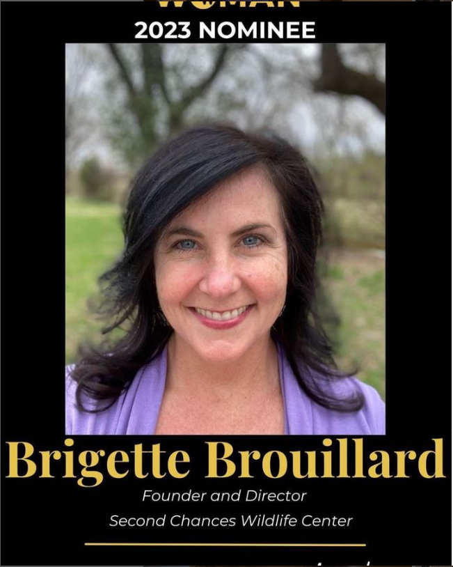 Brigette Brouillard