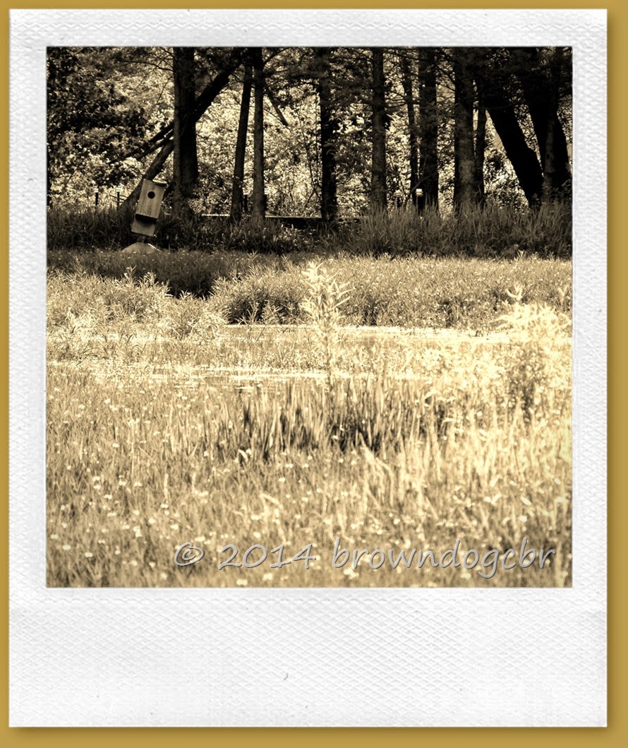 P1360940