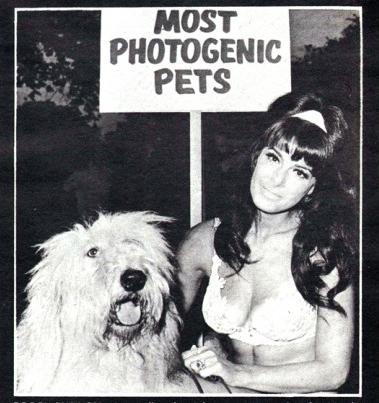 vintage fun pets