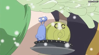ワンピースアニメ パンクハザード編 581話 | ONE PIECE Episode 581
