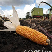 The world's poor spend twice what they did on food just seven years ago, yet still starve in greater numbers. An eight-year-long drought in Australia, the lengthiest in 200 years, has helped keep global supplies of wheat and corn tight. Concern about climate change has led to biofuels subsidies that pit hungry mouths and empty gas tanks against each other.  