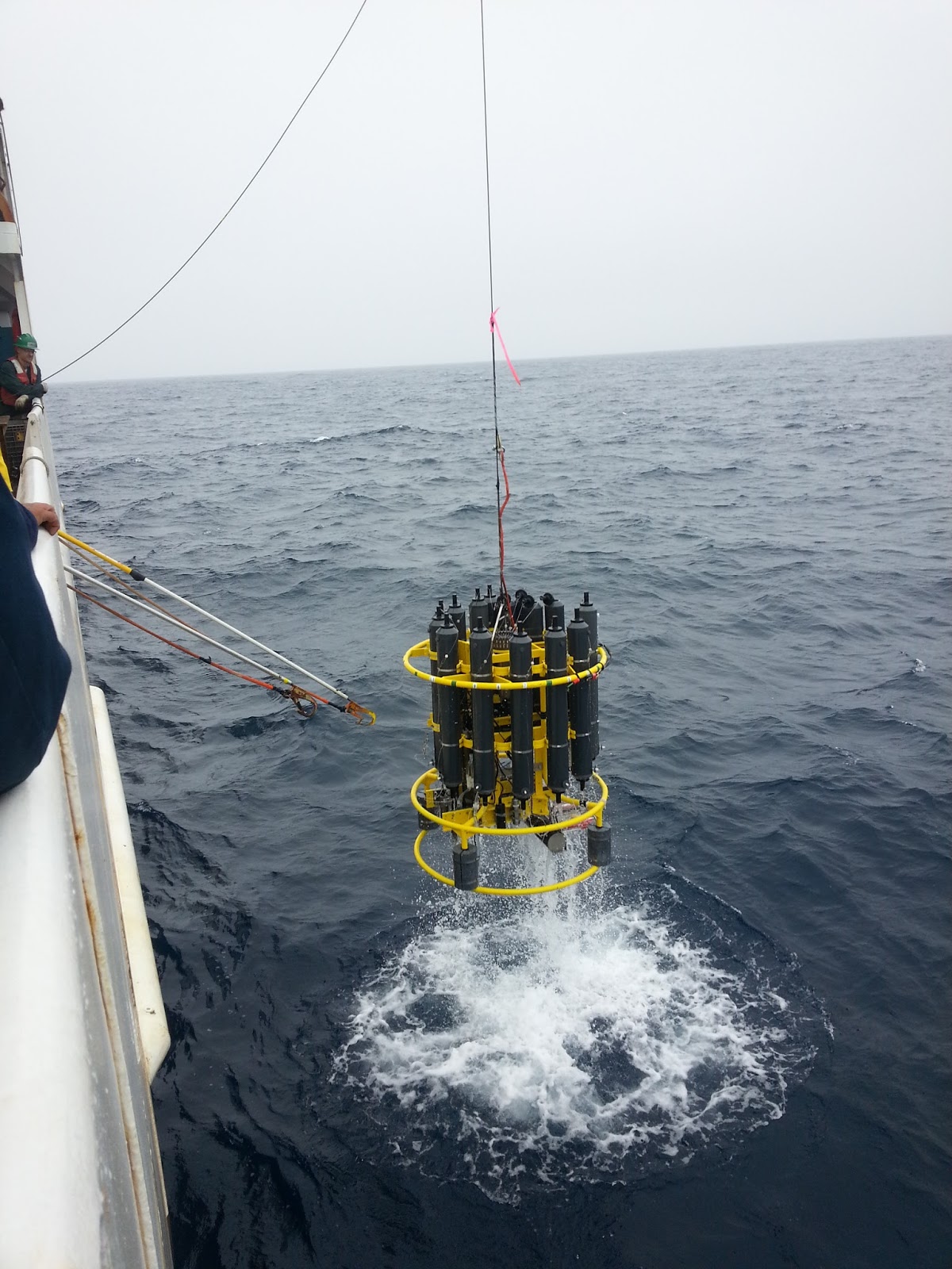 CTD retrieval, photo by Kathryn Beaumont