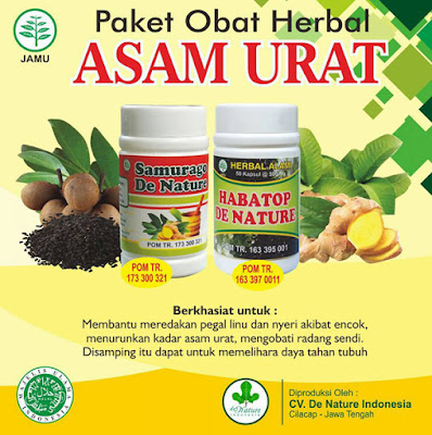 Obat Asam Urat 