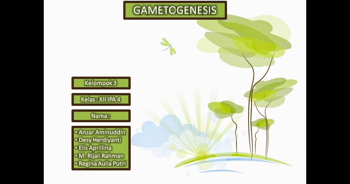 CONTOH PRESENTASI TENTANG GAMETOGENESIS DENGAN POWERPOINT 