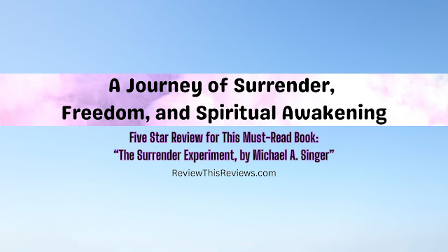 A Journey into "The Surrender Experiment" by Michael A. Singer