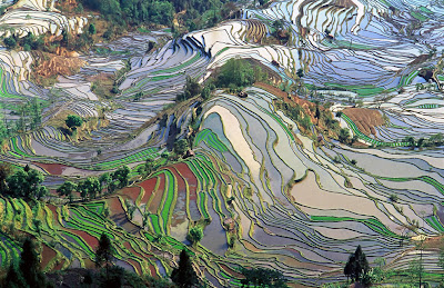 Provinsi Yunnan, China sawah yang menakjubkan