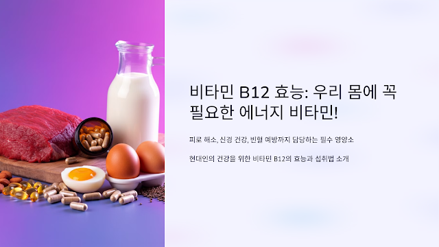 비타민 B12 효능