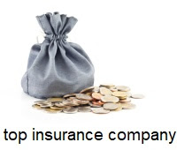 top insurance companies