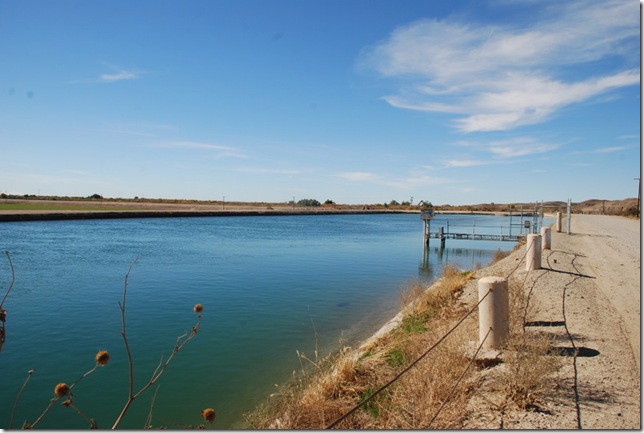 01-14-11 Yuma 023