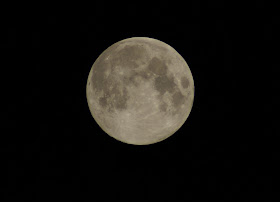 Le lapin dans la lune