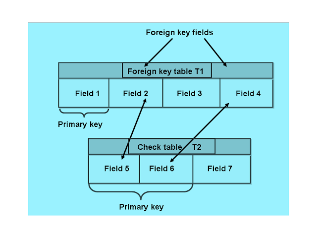 Foreign Keys in SAP ABAP