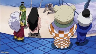 ワンピース アニメ 総集編 麦わらの一味とCP サイファーポール ONE PIECE Straw Hats vs. Cipher Pol