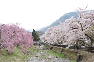 箱根宮城野