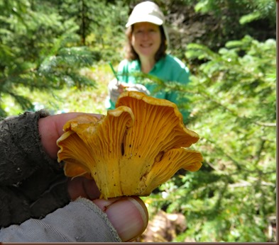 Pagosa9-28 Aug 2016
