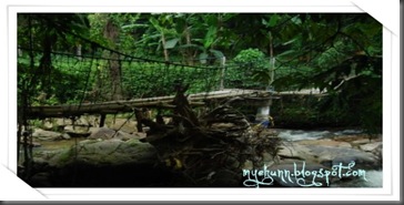 String Bridge