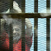 Egypt's former President Mohamed  Morsi sentenced to 3 years in prison