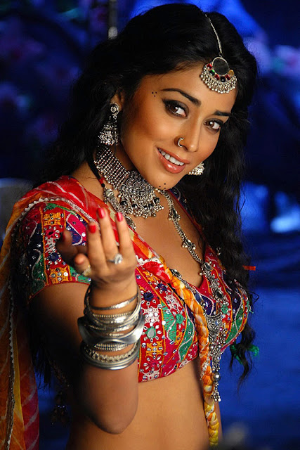 Shriya Hot In Don Seenu