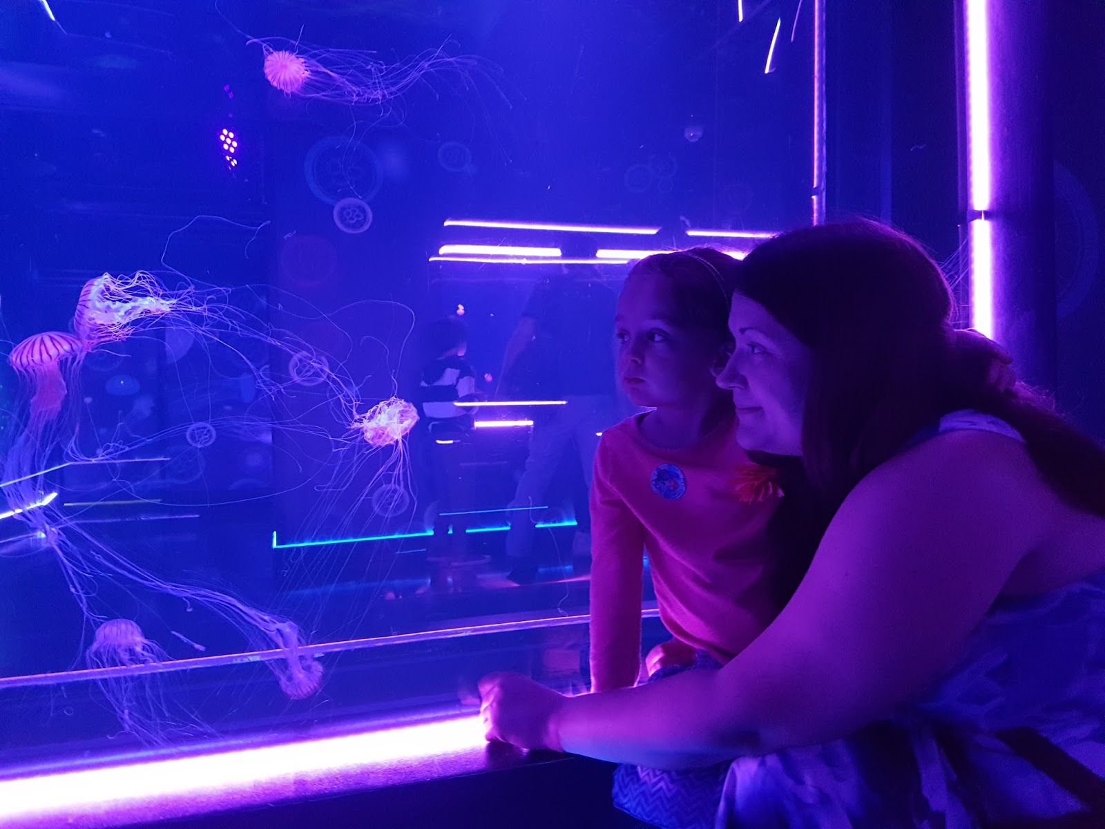 mum and daughter watching jellyfish