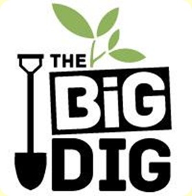 BigDig