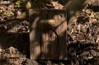 Fairy Door