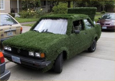 eco friendly car