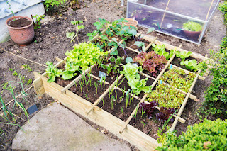 gardening ideas forbeginners Landscape Farm house with flowers garden fencegravel