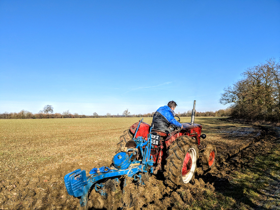 The edge of the bridleway being prepared for hedgerow planting