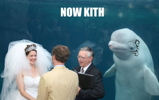 
When Beluga Whale Is The Most Important Thing At Your Wedding (26 pics).