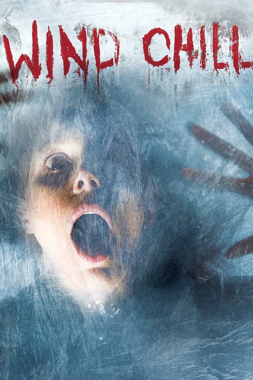 [HD] Wind Chill 2007 Film Complet En Anglais