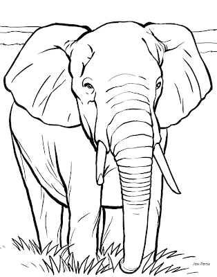 Elephant Coloring Pages