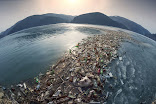 The image shows a large body of water filled with plastic debris. Plastic bottles, bags and other items pollute water and harm wildlife.