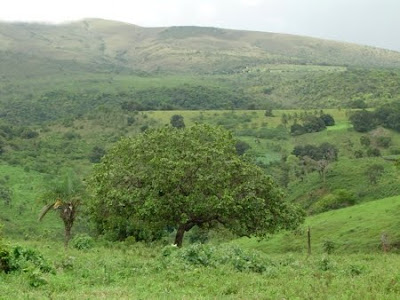 PARQUE NACIONAL SERRA DE ITABAIANA - SERGIPE